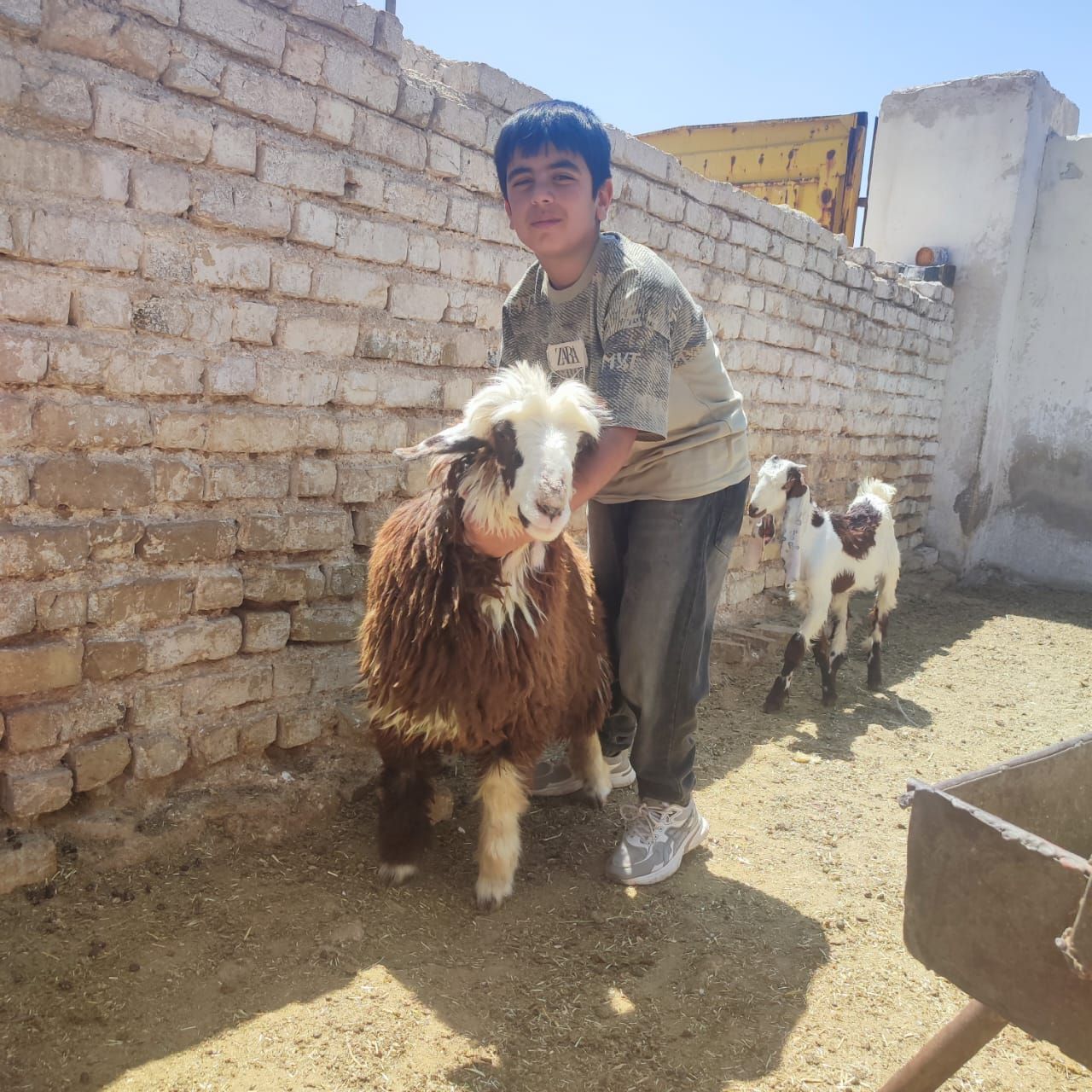 مشقِ ایثار در کوار؛ دانش‌آموز کلاس پنجمی که با اهدای «سرمایه» خود، به میدان خیرین آمد